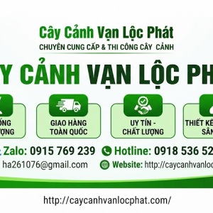 co-so-hoa-kieng-van-loc-phat-4